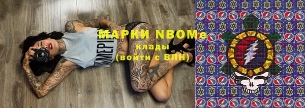 шишки Алексин