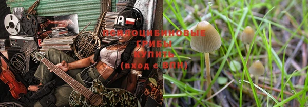 шишки Алексин