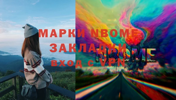 шишки Алексин